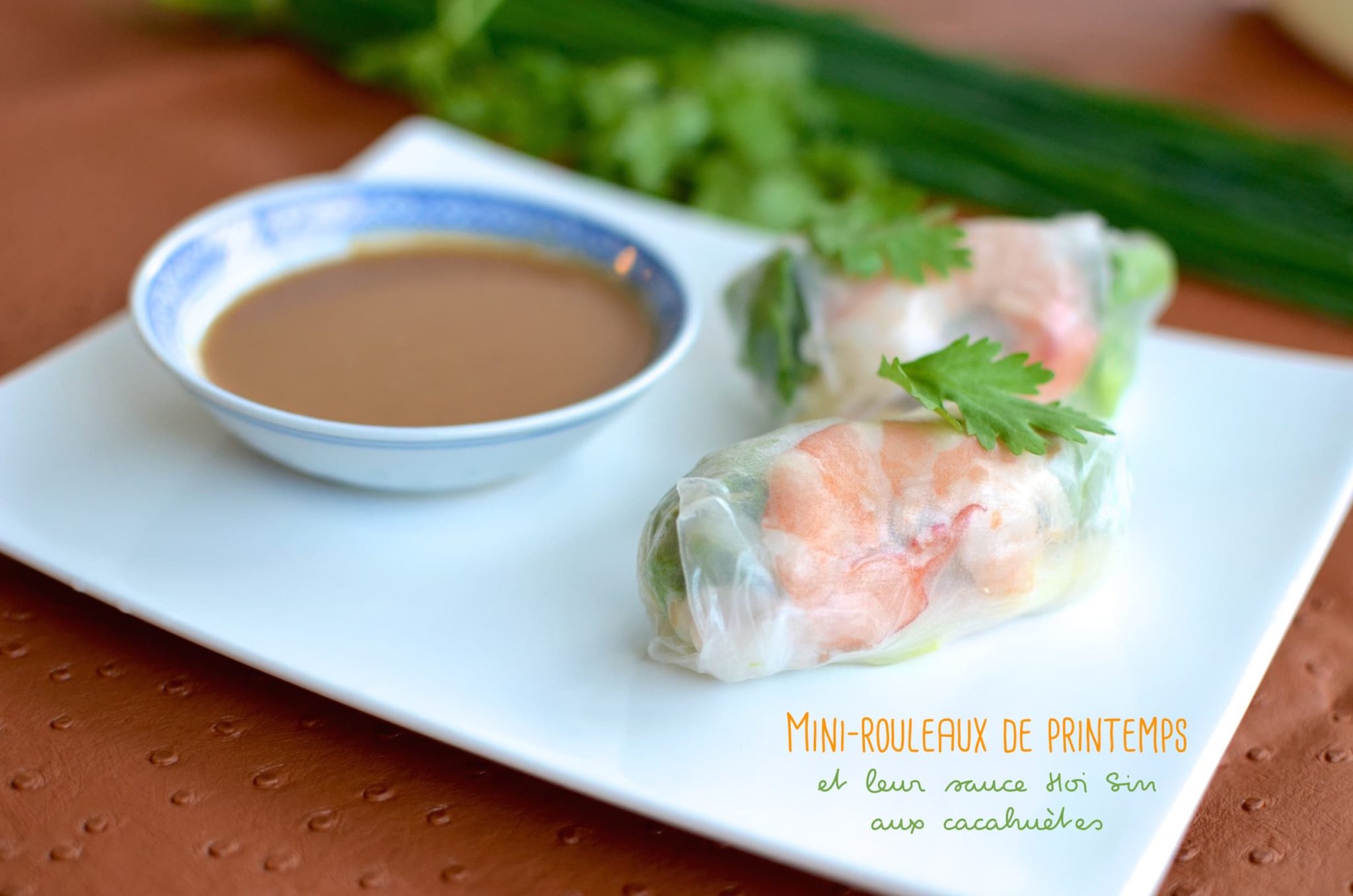 Mini-rouleaux de printemps, sauce Hoi Sin aux cacahuètes - Voyage Gourmand