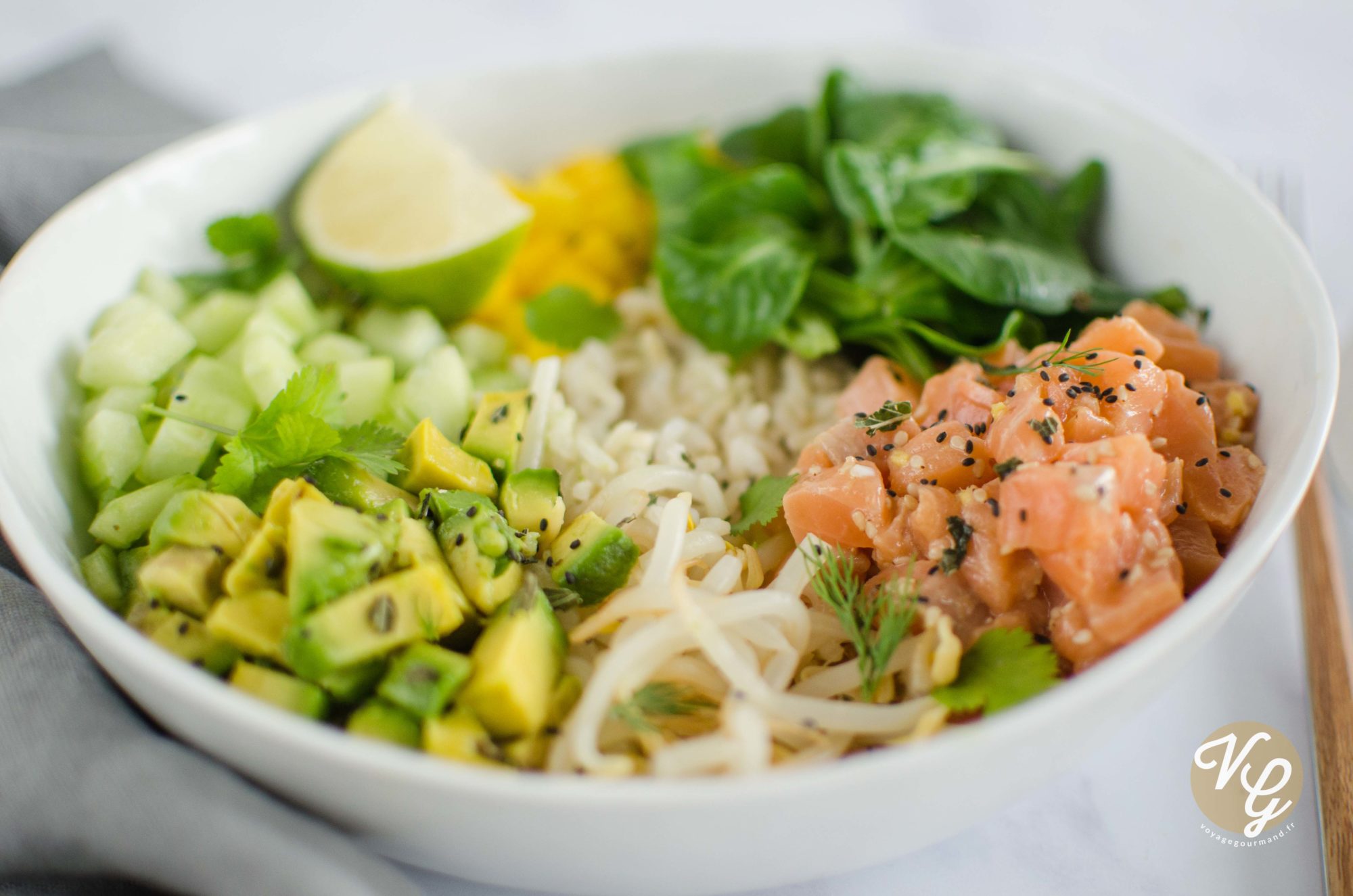 Poké Au Saumon, Mangue Et Avocat (IG Bas) - Voyage Gourmand